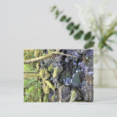 Hardy Creek, Oregon Postkarte (Stehend Vorderseite)
