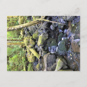 Hardy Creek, Oregon Postkarte