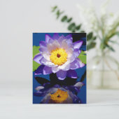 Hardy Wasserlilie Postkarte (Stehend Vorderseite)