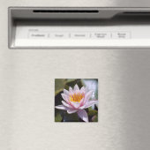Hardy Water Lily Magnet (In Situ (Geschirrspüler))