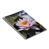 Hardy Water Lily Notebook Notizblock (Rechte Seite)