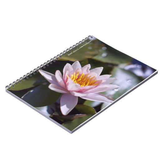 Hardy Water Lily Notebook Notizblock (Linke Seite)