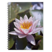 Hardy Water Lily Notebook Notizblock (Vorderseite)
