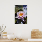 Hardy Water Lily Poster (Küche)