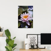Hardy Water Lily Poster (Heimbüro)