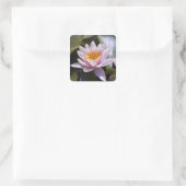 Hardy Water Lily Sticker (Tasche)