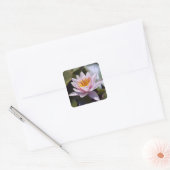 Hardy Water Lily Sticker (Umschlag)