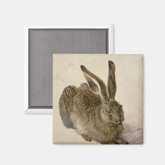 Hare, 1502 magnet (Vorderseite/Rückseite)