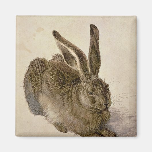 Hare, 1502 magnet (Vorne)