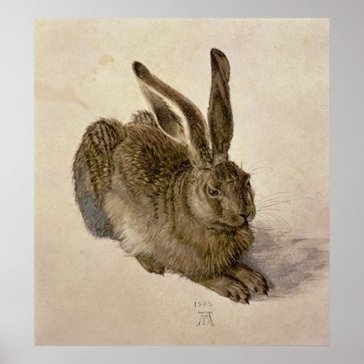 Hare, 1502 poster (Vorne)