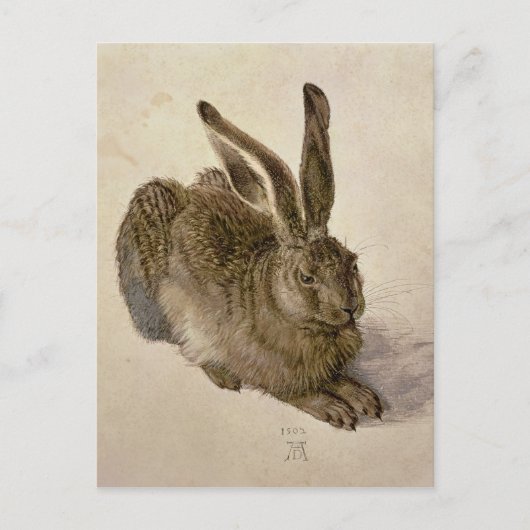 Hare, 1502 postkarte (Vorderseite)