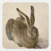 Hare, 1502 quadratischer aufkleber (Vorderseite)