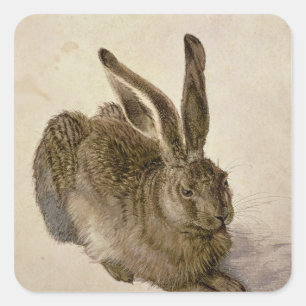 Hare, 1502 quadratischer aufkleber