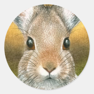 Hare 18 Aufkleber