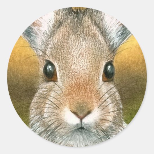 Hare 18 Aufkleber (Vorderseite)