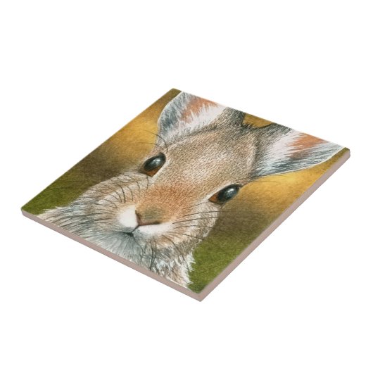 Hare 18 Rabbit Bunny Fliese (Seite)