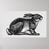 Hare - Archivdruck Poster (Vorne)