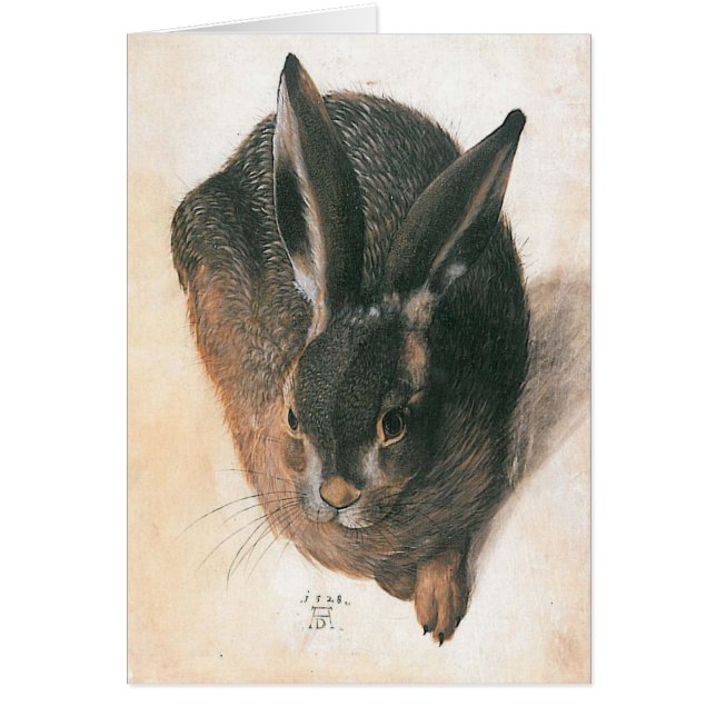 Hare by Albrecht Durer (Vorne)