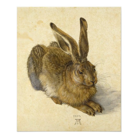Hare by Albrecht Durer Fotodruck (Vorne)