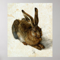Hare by Albrecht Dürer