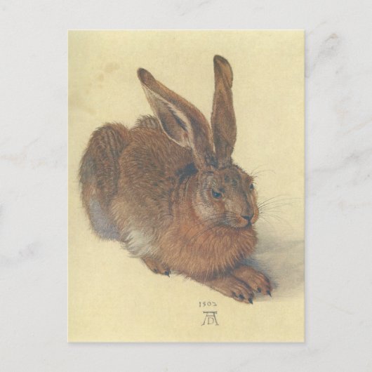 Hare by Albrecht Durer Postkarte (Vorderseite)
