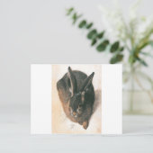 Hare by Albrecht Durer Postkarte (Stehend Vorderseite)