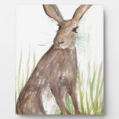 Hare Fotoplatte (Vorderseite)