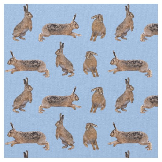 Hare Frenzy Fabric (Light Blue) Stoff (Nahaufnahme)