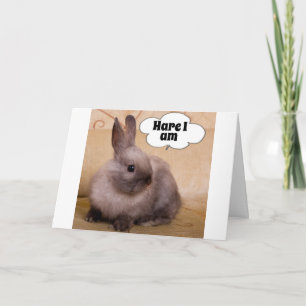 ***HARE**** ICH SAGE DIESES ANGENEHME BUNNY-CHRIST FEIERTAGSKARTE