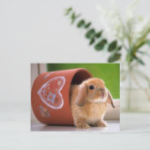 Hare in der Blume Postkarte (Stehend Vorderseite)