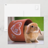 Hare in der Blume Postkarte (Vorne/Hinten)