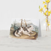 Hare Indian Dog (Canis familiaris) Illustration Karte (Gelbe Blume)