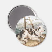 Hare Indian Dog (Canis familiaris) Illustration Magnet (Vorderseite/Rückseite)