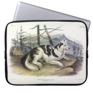 Hare-Indian Dog (Mackenzie River Dog) von Audubon Laptopschutzhülle
