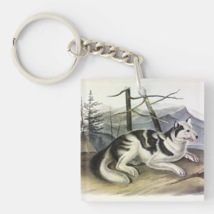Hare-Indian Dog (Mackenzie River Dog) von Audubon Schlüsselanhänger