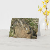 Hare Karte (Gelbe Blume)