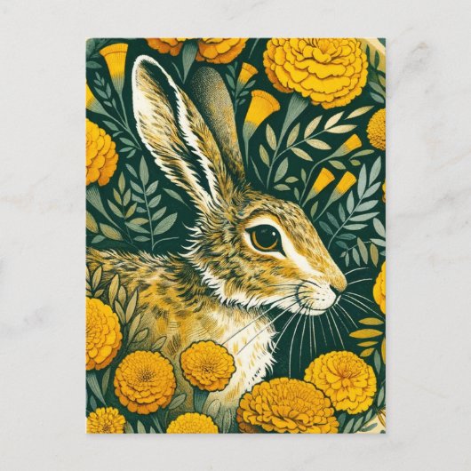 Hare Marigold Postkarte (Vorderseite)