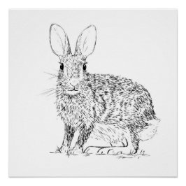 Hare Monochrome Print Poster