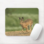 Hare Mousepad (Mit Mouse)