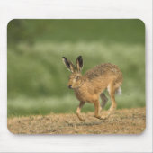 Hare Mousepad (Vorne)