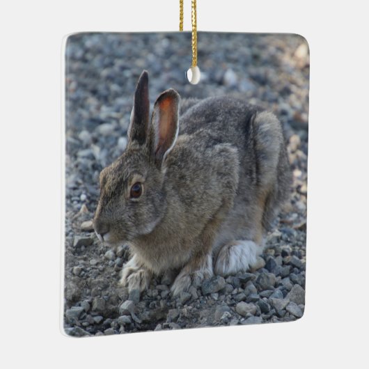 Hare Ornament (Rechts)