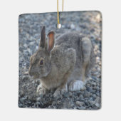 Hare Ornament (Links)