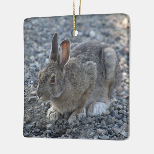 Hare Ornament (Links)
