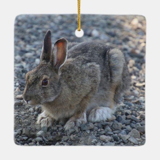 Hare Ornament (Rückseite)