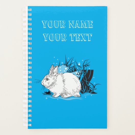 Hare Planer (Vorderseite)