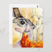 Hare post card (a426) postkarte (Vorne/Hinten)