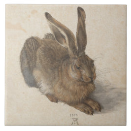 Hare (von Albrecht Dürer) Fliese