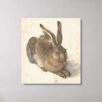 Hare (von Albrecht Dürer)