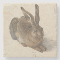 Hare (von Albrecht Dürer)