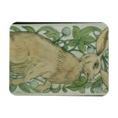 Hare (w/c auf Papier) Magnet (Horizontal)